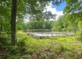 29.46+/-acres unrestricted bordering Franklin State Forest