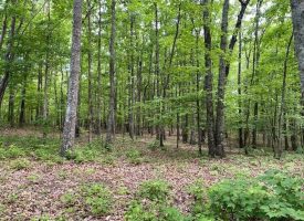 SOLD!! 29.46+/-acres unrestricted bordering Franklin State Forest