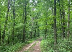 SOLD!! 50+/-acres Wooded Property with Amazing Views