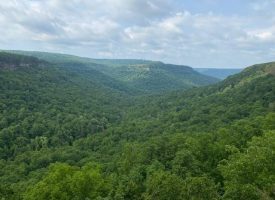 50+/-acres Wooded Property with Amazing Views