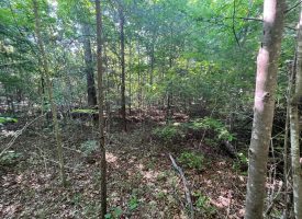 SOLD!! 21.84+- acres conveniently located on the Cumberland Plateau
