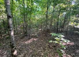 SOLD!! 21.20+- acers conveniently located on the Cumberland Plateau
