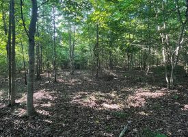 SOLD!! 21.20+- acers conveniently located on the Cumberland Plateau