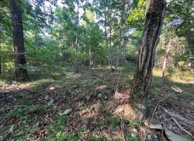 21.52+/-acres Located Near Chattanooga