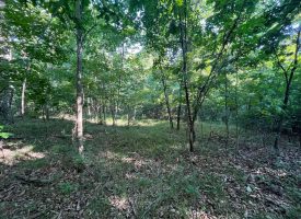 SOLD!! 21.52+/-acres Located Near Chattanooga