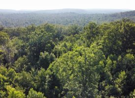 21.52+/-acres Located Near Chattanooga
