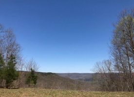 17+/-acres Bluff Views of Sweetens Cove