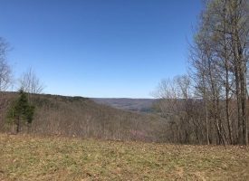 SOLD!! 17+/-acres Bluff Views of Sweetens Cove
