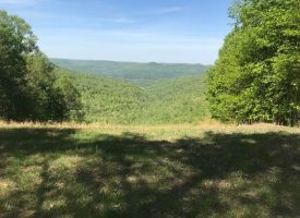 17+/-acres Bluff Views of Sweetens Cove