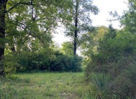 5.45+/-acres Unrestricted Near Downtown South Pittsburg TN