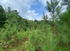 15.48+/-acres Near Franklin State Forest