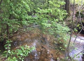 5.00+/-acres Unrestricted with electric and water at Pavement.