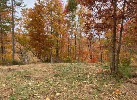 16.08+/-acres South Pittsburg Mtn Road