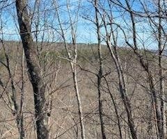 16.08+/-acres South Pittsburg Mtn Road