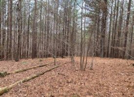 SOLD!! 5.1+/-acres Wooded Property Near Franklin Forest