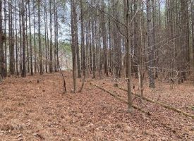 5.1+/-acres Wooded Property Near Franklin Forest