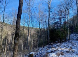 64.27+/-acres Unrestricted Wooded property with marketable rock and timber