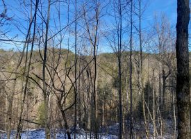 64.27+/-acres Unrestricted Wooded property with marketable rock and timber