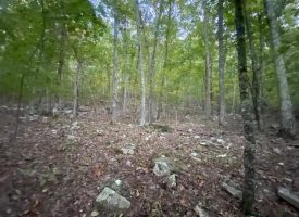 13.03+/-acres wooded property located in Marion County community with scenic views
