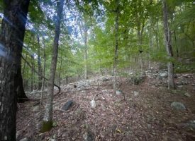 13.03+/-acres wooded property located in Marion County community with scenic views