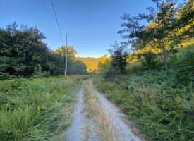 48.72+/-acres Wooded property located in Marion County