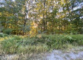 48.72+/-acres Wooded property located in Marion County