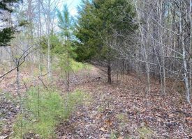 5.00+/-acres wooded lot with nice home site located on top of South Pittsburg Mtn.