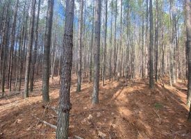 5.00+/-acres wooded lot with nice home site located on top of South Pittsburg Mtn.