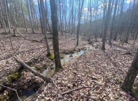 SOLD!! 5.00+/-acres wooded lot with nice home site located on top of South Pittsburg Mtn.