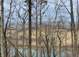 5.00+/-acres on the Tennessee River
