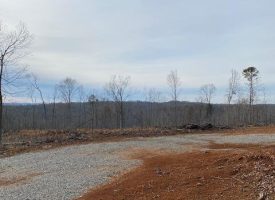 5.00+/-acres on the Tennessee River