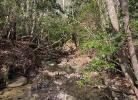 5.28+/-acres Wooded Property near Fall Creek Falls