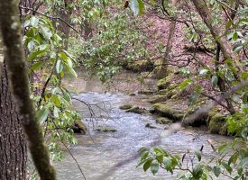 8.59+/-acres Wooded Property with Year Round Creek