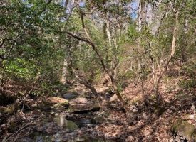 SOLD!! 19.45+/-acres Wooded with Creek Near Fall Creek Falls