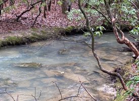 SOLD!! 5.76+/-acres with a creek near Fall Creek Falls