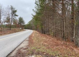 5.05+/-acres Unrestricted Near Savage Gulf State Park