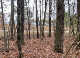 5.21+/-acres Unrestricted Near Savage Gulf State Park