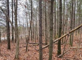 5.13+/-acres Unrestricted Wooded Property Near Savage Gulf State Park