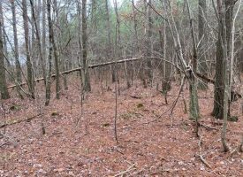 SOLD!! 5.12+/-acres Unrestricted Wooded Property with Small Creek Near Savage Gulf State Park