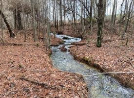 5.12+/-acres Wooded Property with Small Creek Near Savage Gulf State Park