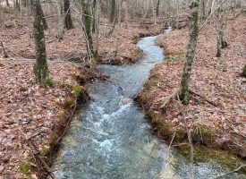 5.12+/-acres Unrestricted Wooded Property with Small Creek Near Savage Gulf State Park