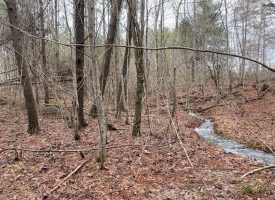 5.12+/-acres Unrestricted Wooded Property with Small Creek Near Savage Gulf State Park