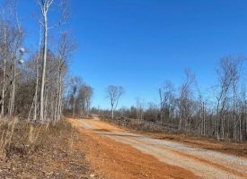 7.27+/-acres with River Views