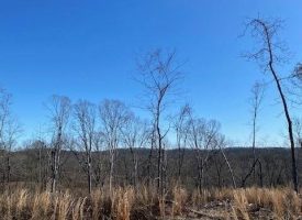 SOLD!! 7.27+/-acres with River Views