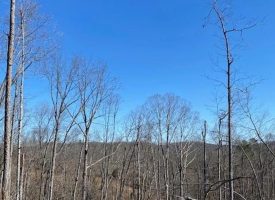 8.89+/-acres With River Views