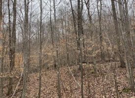 5.76+/-acres with Views