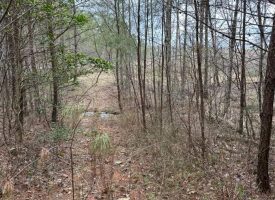 21.29+/-acres Unrestricted Near Fall Creek Falls