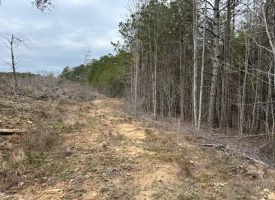 21.29+/-acres Unrestricted Near Fall Creek Falls