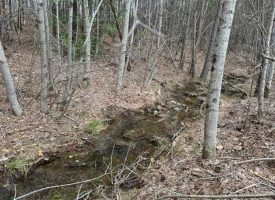SOLD!! 21.29+/-acres Unrestricted Near Fall Creek Falls