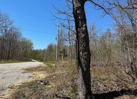 11.3+/-acres wooded property.